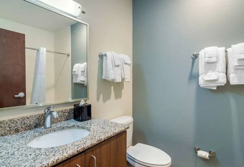 身障者適用スイートルーム, Mainstay Suites Newnan Atlanta South
