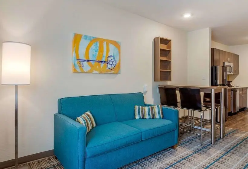 身障者適用スイートルーム, Mainstay Suites Newnan Atlanta South