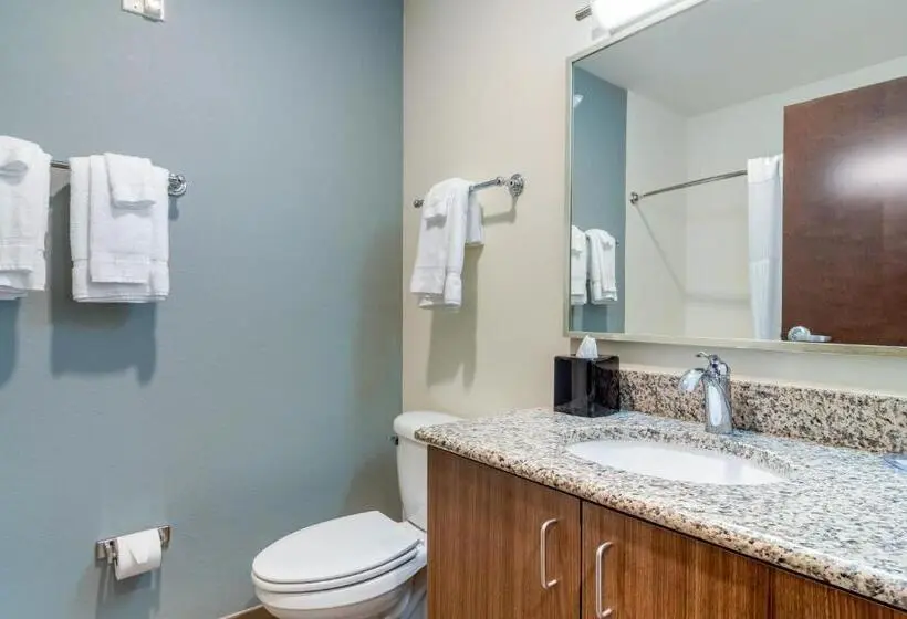 キングサイズベッドのスイートルーム, Mainstay Suites Newnan Atlanta South