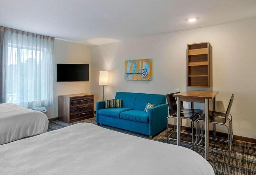 套房, Mainstay Suites Newnan Atlanta South