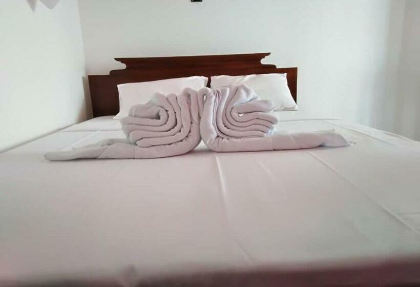 オーシャンビューデラックスルーム, The Finz