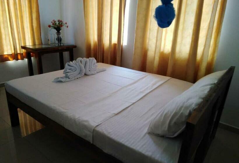 オーシャンビューデラックスルーム, The Finz