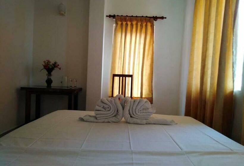 デラックスルーム, The Finz