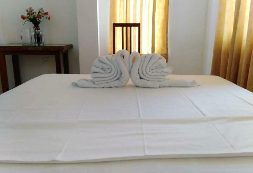 デラックスルーム, The Finz