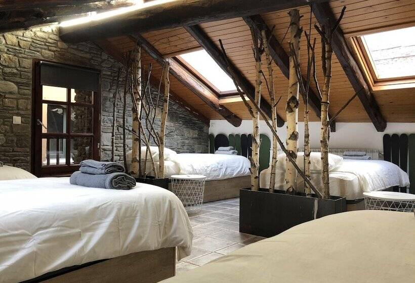 تختخواب در اتاق مشترک, Secret Spot Hostel