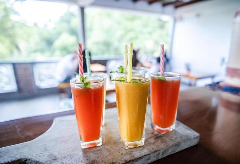 غرفة ديلوكس, The Jungle View