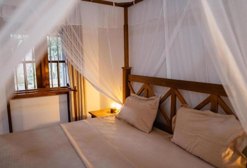 غرفة قياسية, The Jungle View