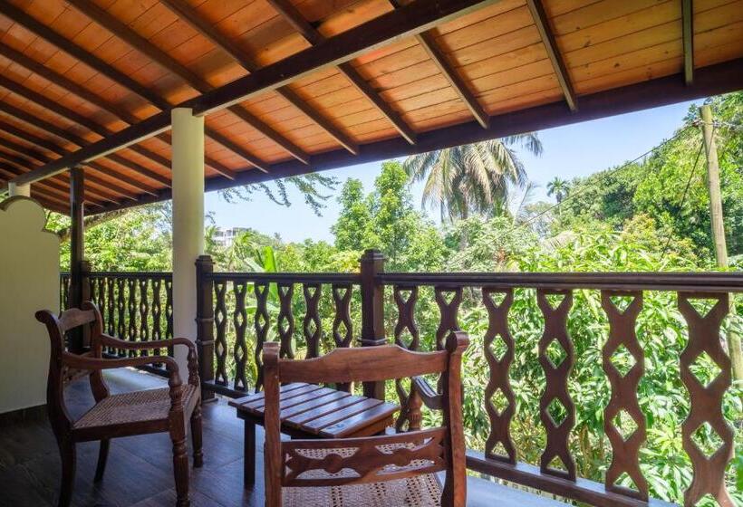 غرفة ديلوكس, The Jungle View