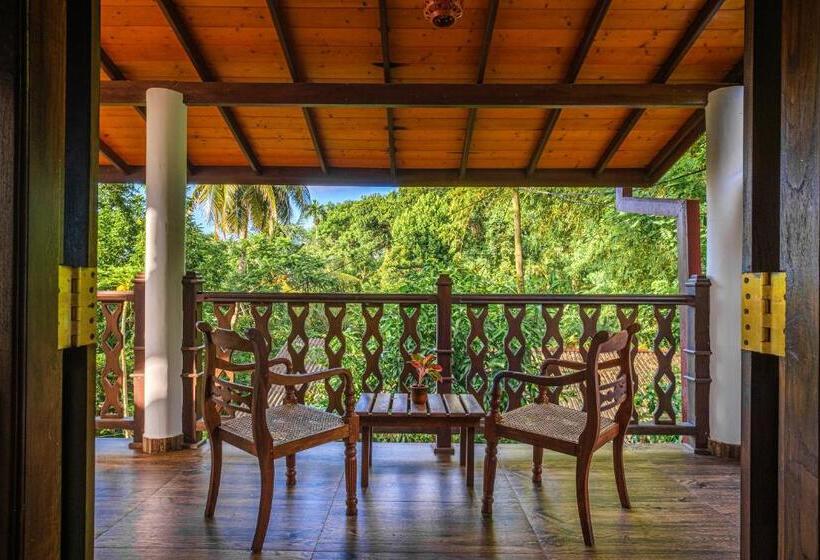 غرفة ديلوكس, The Jungle View