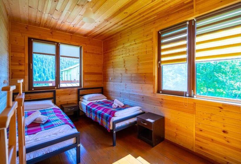اتاق استاندارد, Badishi Guesthouse