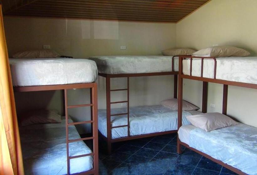 تختخواب در اتاق مشترک, Monteverde Family House