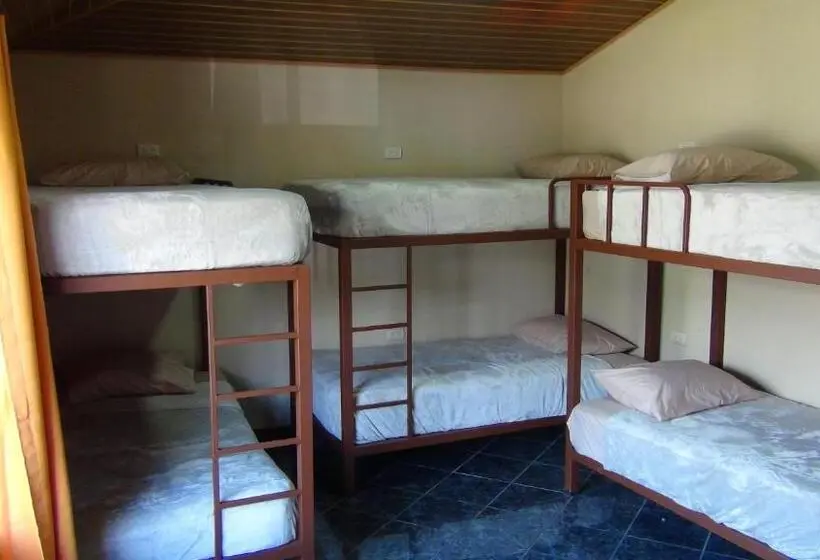تختخواب در اتاق مشترک, Monteverde Family House