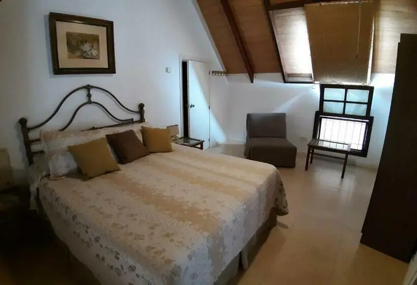 Suite Supérieure, Ars Amici