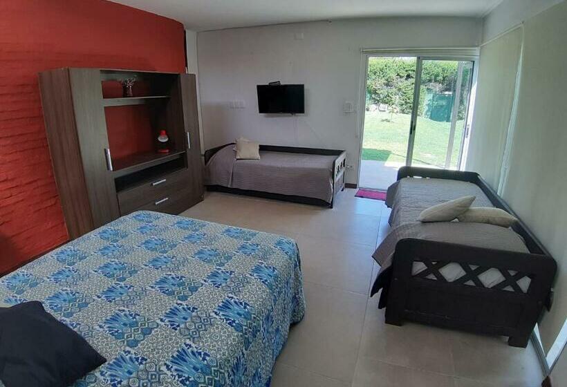 اتاق سوپریور خانوادگی, Ars Amici