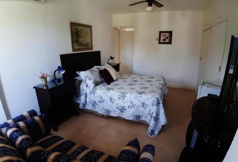 سوییت, Ars Amici