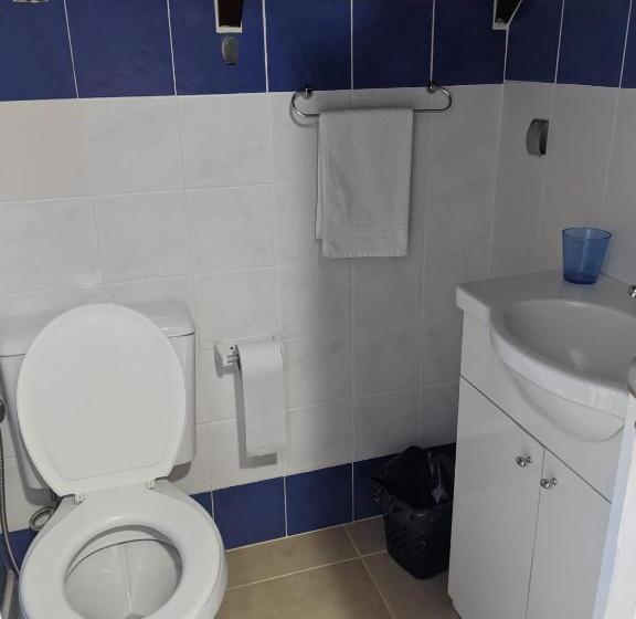 اتاق اکونومی یک تخته, Ars Amici