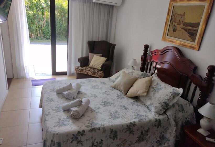 سوییت, Ars Amici