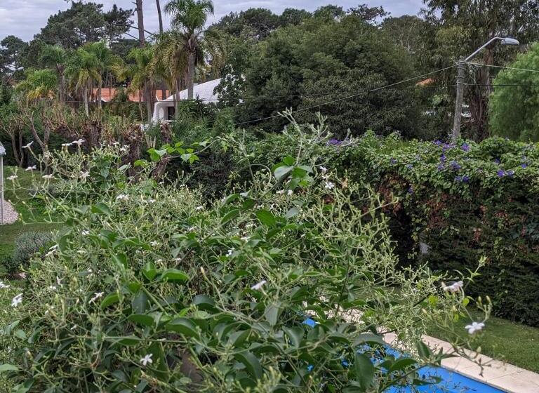 اتاق اکونومی یک تخته, Ars Amici