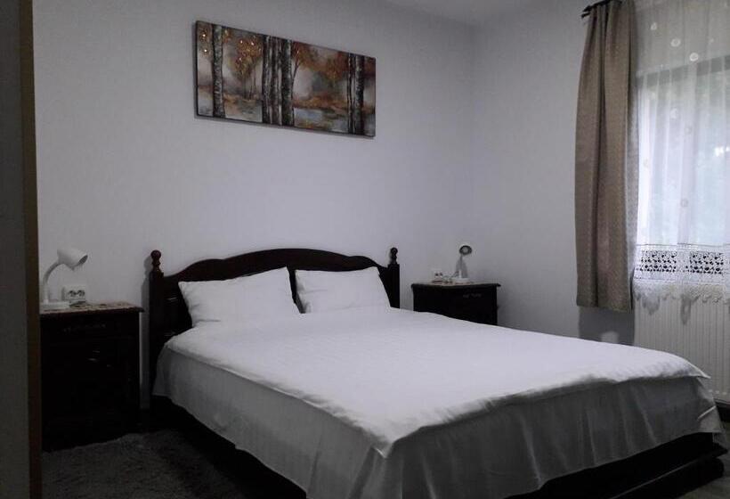 חדר סטנדרט, Pensiunea Cosalina Grande