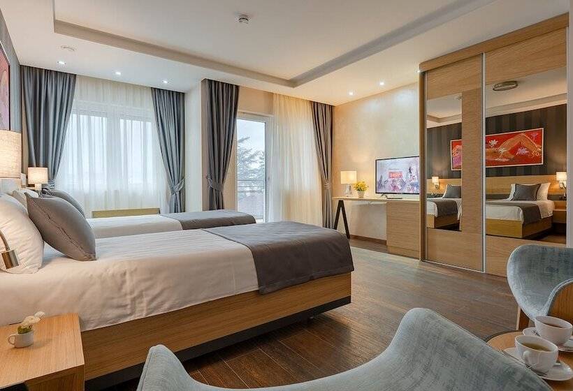 اتاق سوپریور, Rubicon Garni