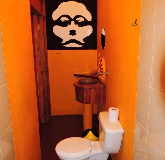 Номер Стандарт, Buena Onda Backpackers