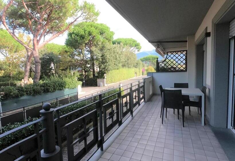 غرفة قياسية, Michelangelo Rta