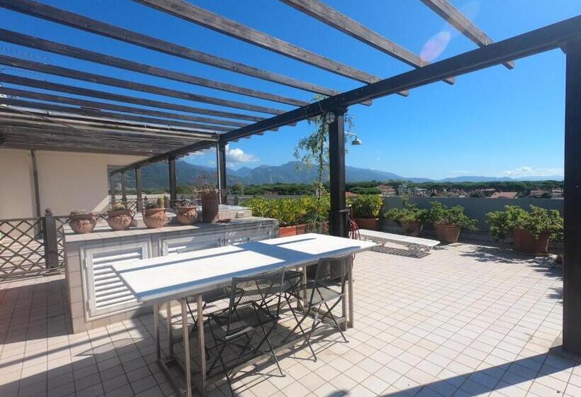 شقة دور أخير غرفة نوم واحدة, Michelangelo Rta