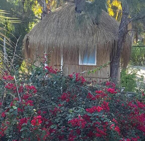 가든 전망 스위트, Baraka Lda