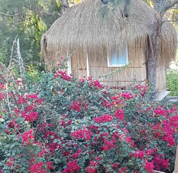 가든 전망 스위트, Baraka Lda