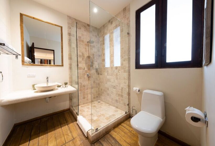 スタンダードルーム, Selina Nosara