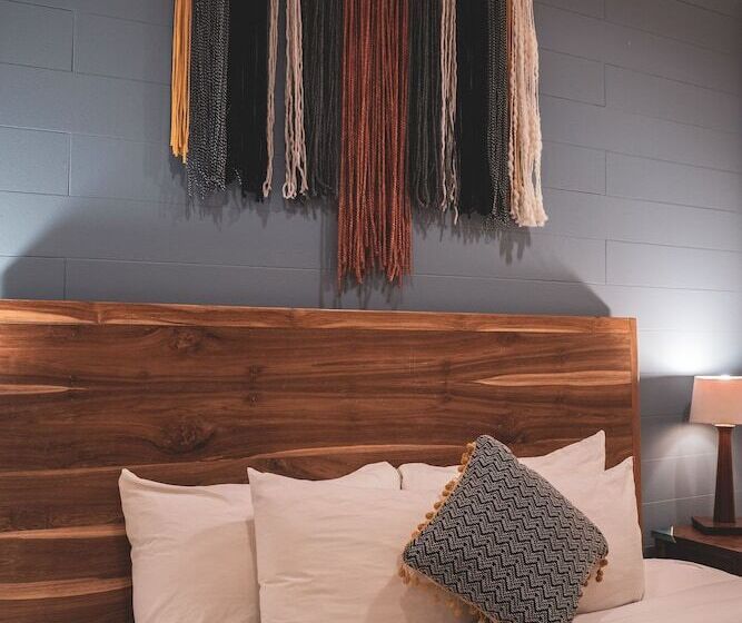 スタンダードルーム, Selina Nosara