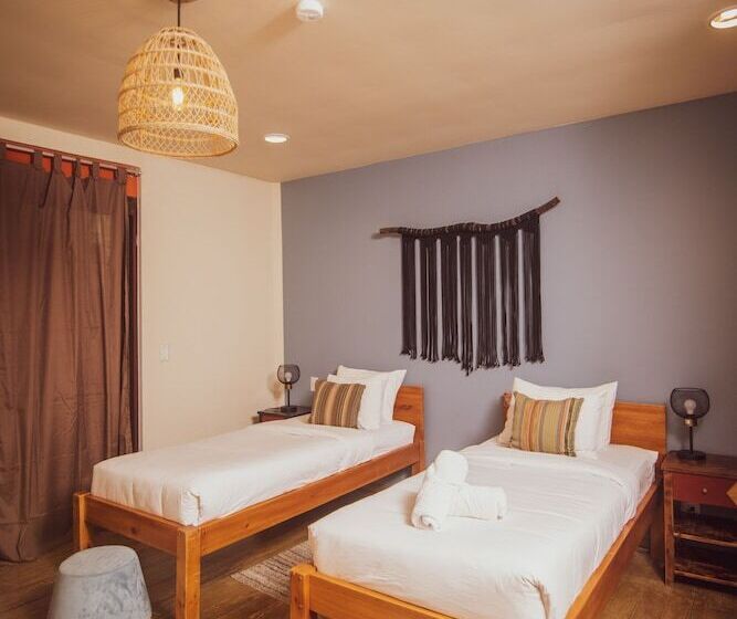 スタンダードルーム, Selina Nosara