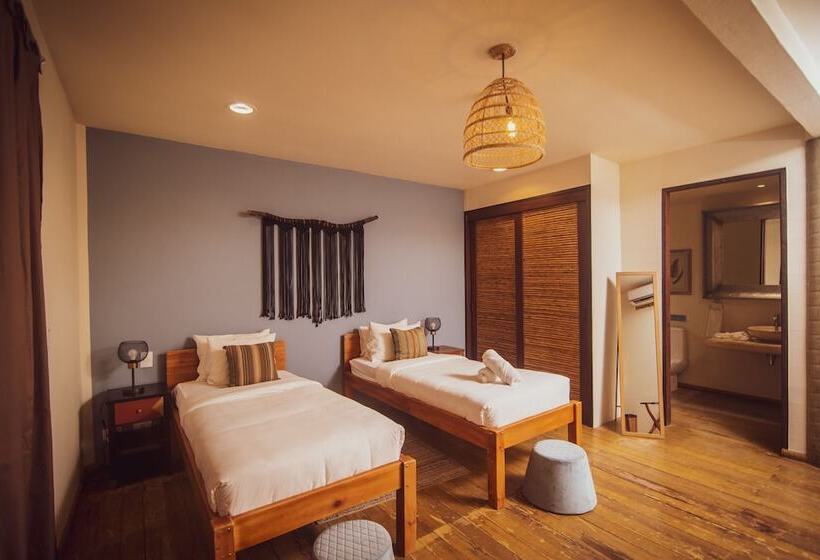 スタンダードルーム, Selina Nosara