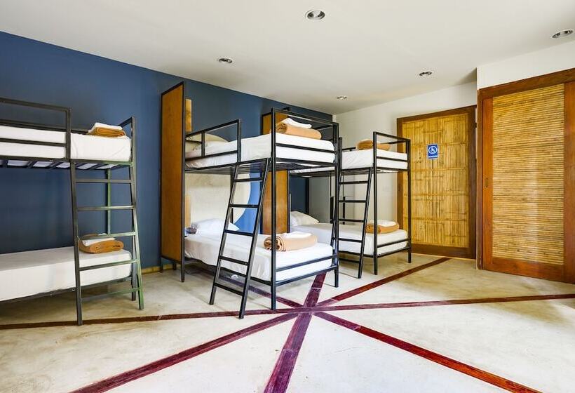 ルームシェアのワンベッド, Selina Nosara