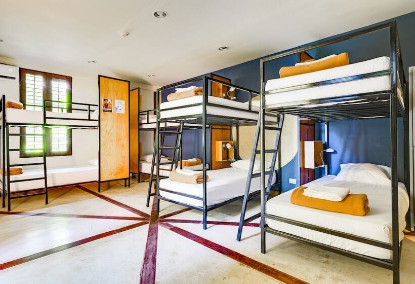 ルームシェアのワンベッド, Selina Nosara