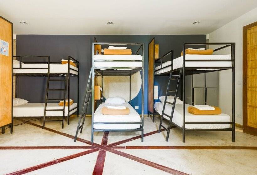 ルームシェアのワンベッド, Selina Nosara