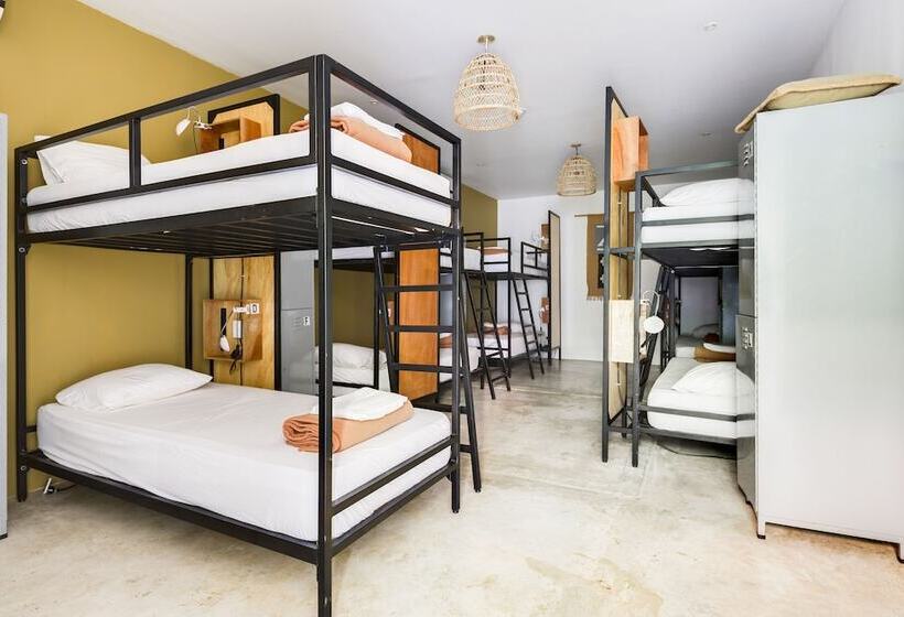 ルームシェアのワンベッド, Selina Nosara