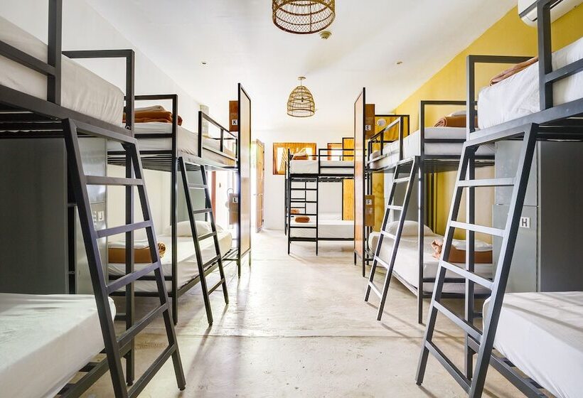 ルームシェアのワンベッド, Selina Nosara