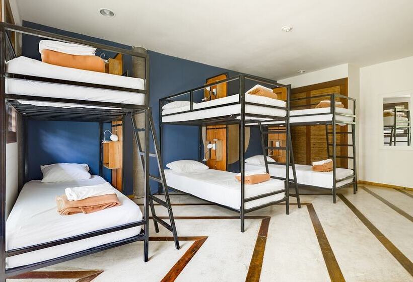 ルームシェアのワンベッド, Selina Nosara