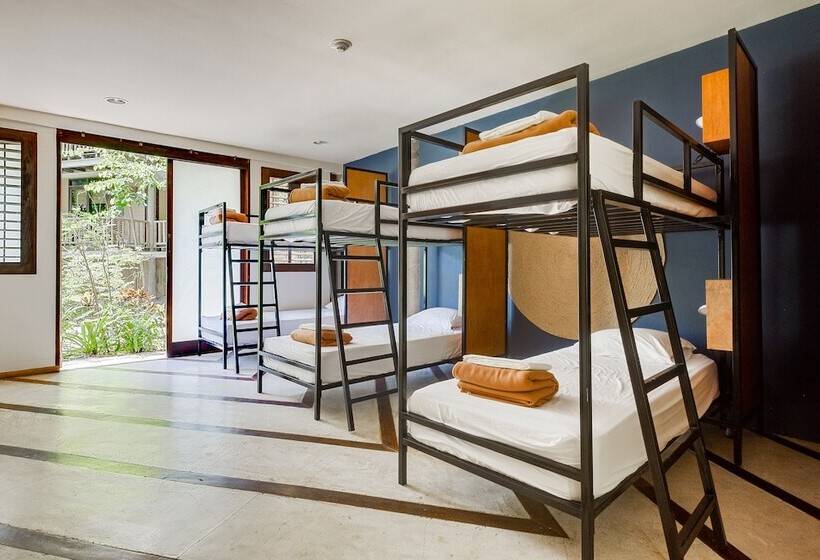 ルームシェアのワンベッド, Selina Nosara