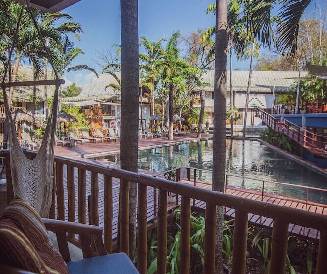 スタンダードルーム, Selina Nosara