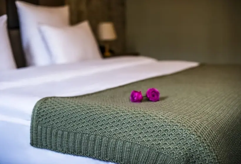 اتاق لوکس, Apricot Hotel Yerevan