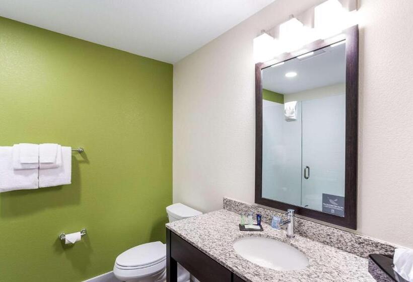 חדר סטנדרט עם מיטת קינג, Mainstay Suites Logan Ohio Hocking Hills