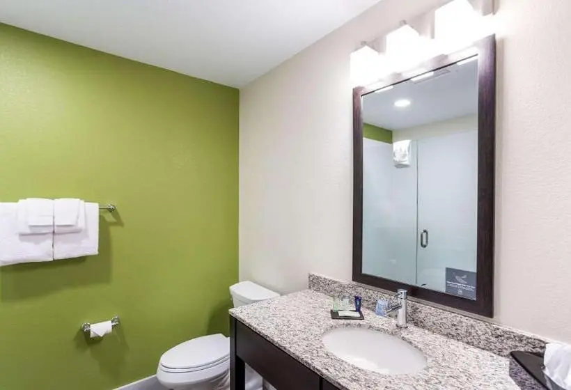 Standard-huone King-vuode, Mainstay Suites Logan Ohio Hocking Hills