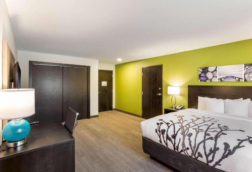 חדר סטנדרט עם מיטת קינג, Mainstay Suites Logan Ohio Hocking Hills