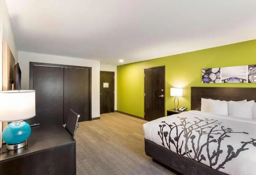 Standard-huone King-vuode, Mainstay Suites Logan Ohio Hocking Hills