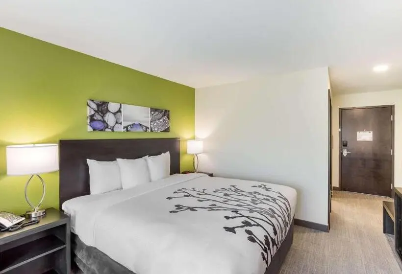 Standard-huone King-vuode, Mainstay Suites Logan Ohio Hocking Hills