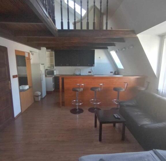 شقة غرفة واحدة, U Betty   Ostrava Centrum