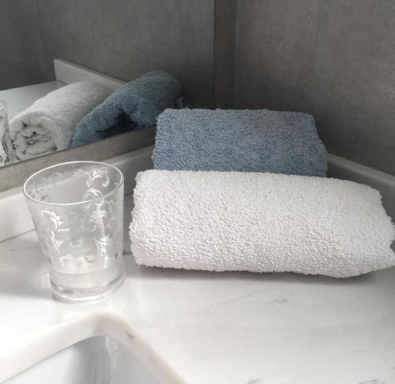 غرفة قياسية مزوَّدة بتراس, Dar Misk