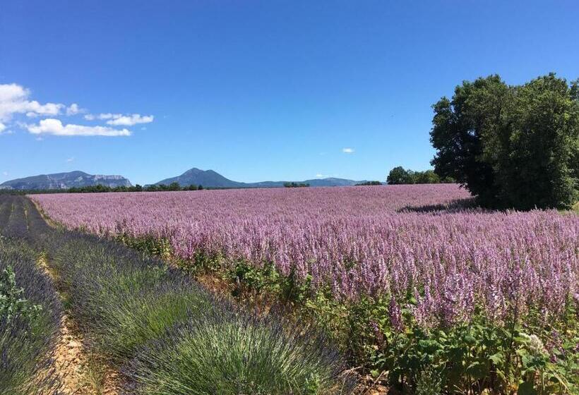 Вилла Superior 1 Спальня, Villa Fontane Provence